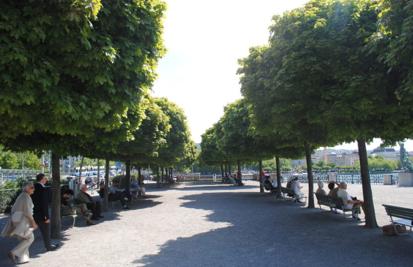 Arbocitynet: Dites-moi où sont les arbres… Stratégies d’avenir en matière d’espaces non construits et d’espaces verts
