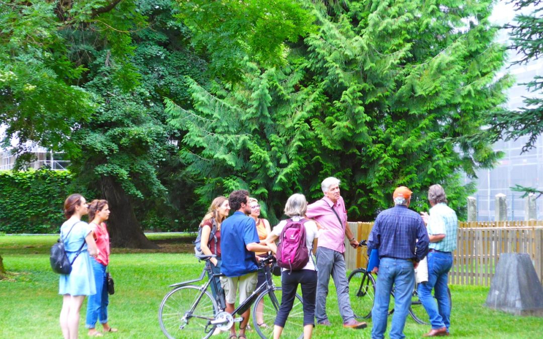 Promenade forestière, arborée, paysagère et sociale en milieu urbain