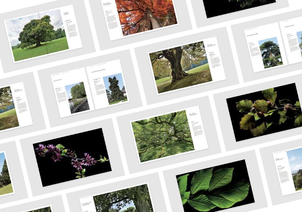 Ouvrage : “Des arbres remarquables – 41 histoires enracinées à Genève”