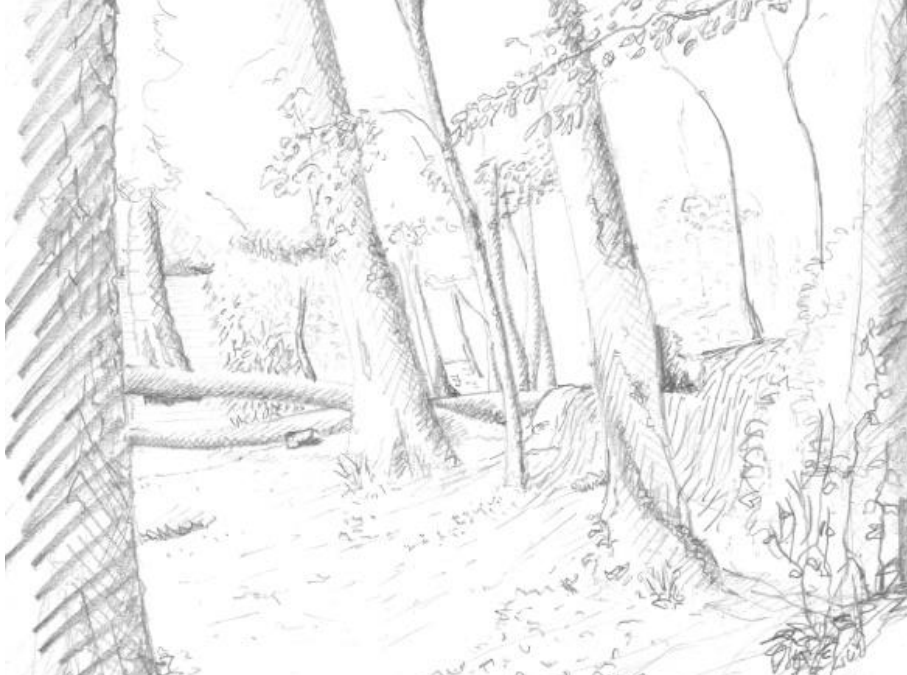Webinaire “Nature digitale ou végétale”