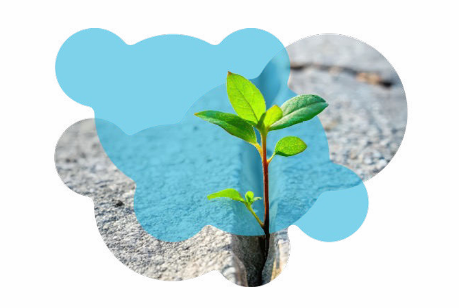 « Adapt+ », le programme fédéral d’encouragement pour le climat