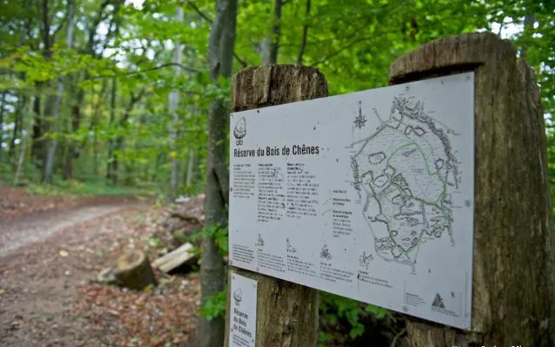 Tours en forêt – formations continues