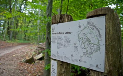 Tours en forêt – formations continues