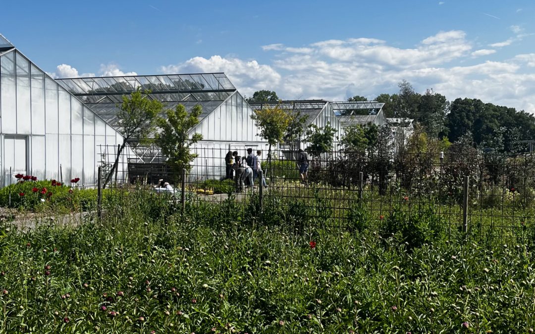 Journées de conférences 2026 des ACL