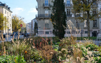 Prix Nature dans la ville – 1ère édition