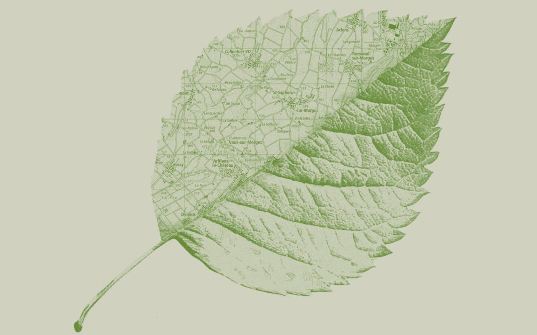 Journée technique 2026 – « Nature & Cité : Trouver le bon équilibre »